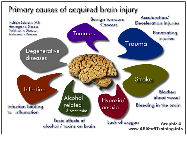 Anoxic Brain Injury Causes